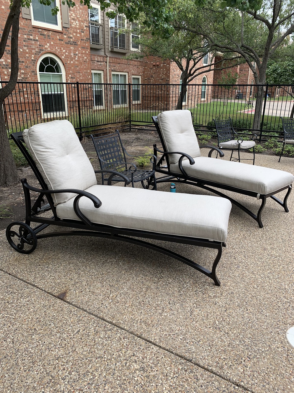 Evergreen at Mesquite photo 1