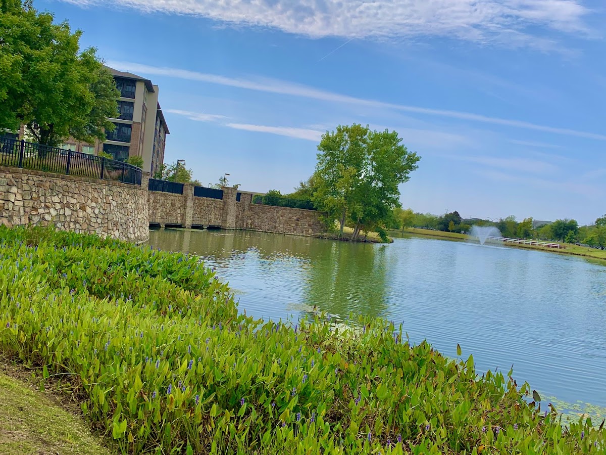 Highland Springs Senior Living Community photo 1