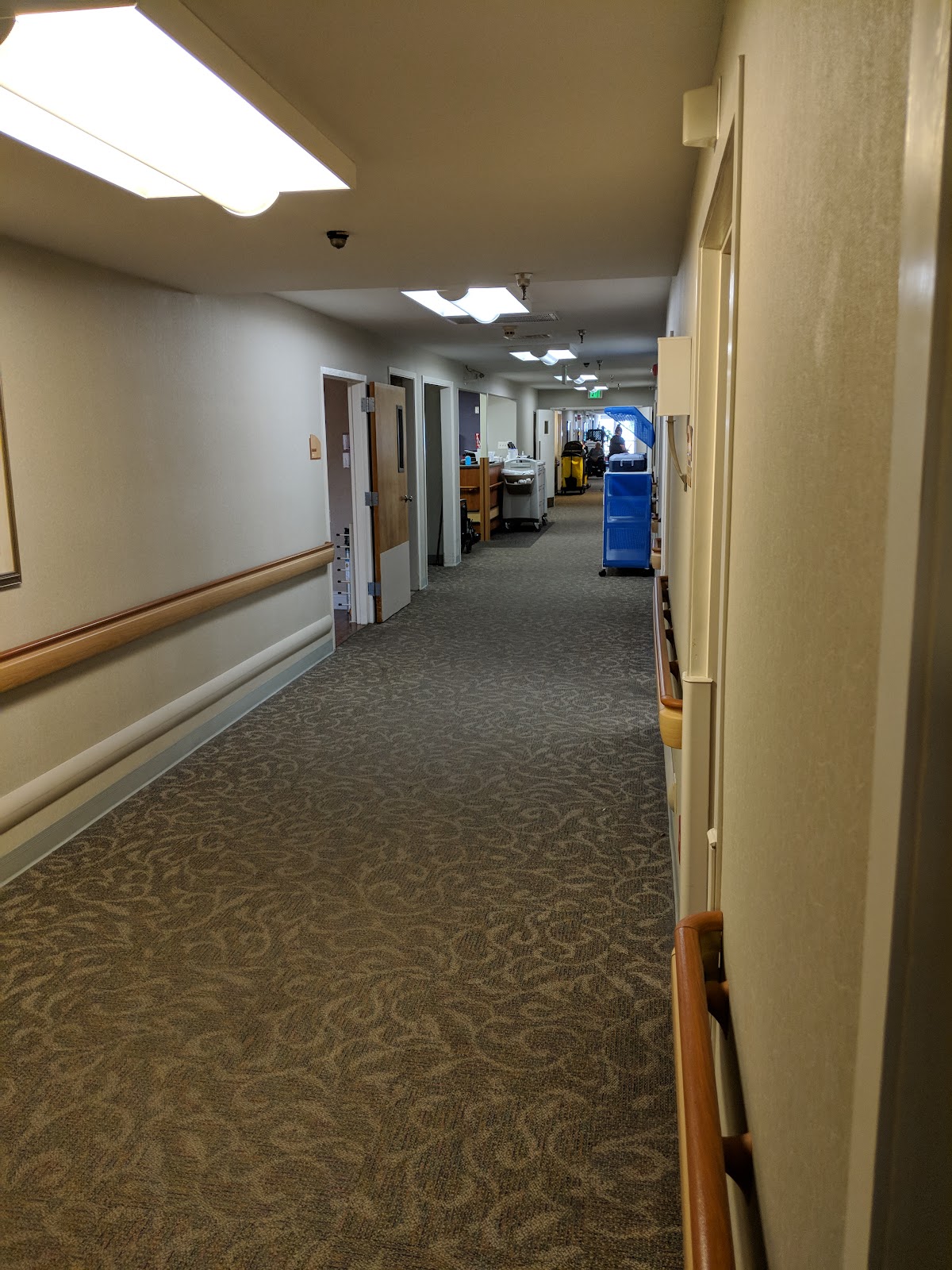 The Lev at San Antonio (Offers In-House Hemo Dialysis) photo 2