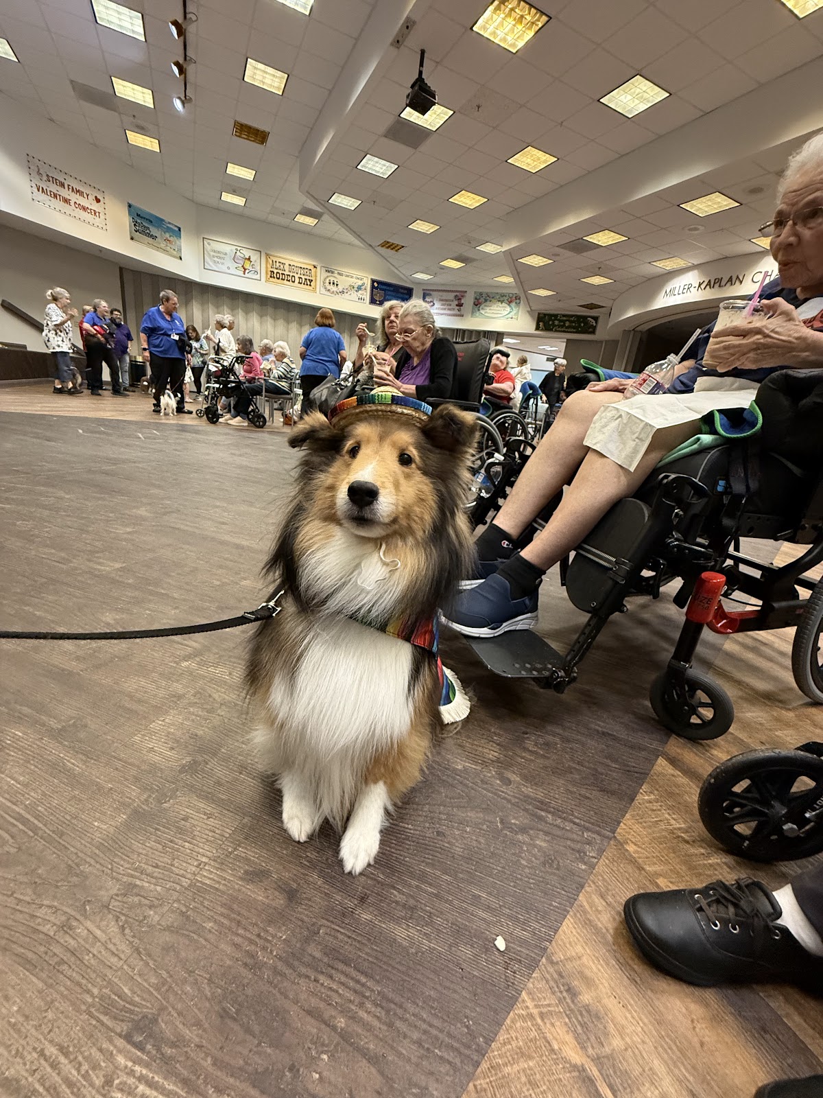 Seven Acres Jewish Senior Care Services photo 3