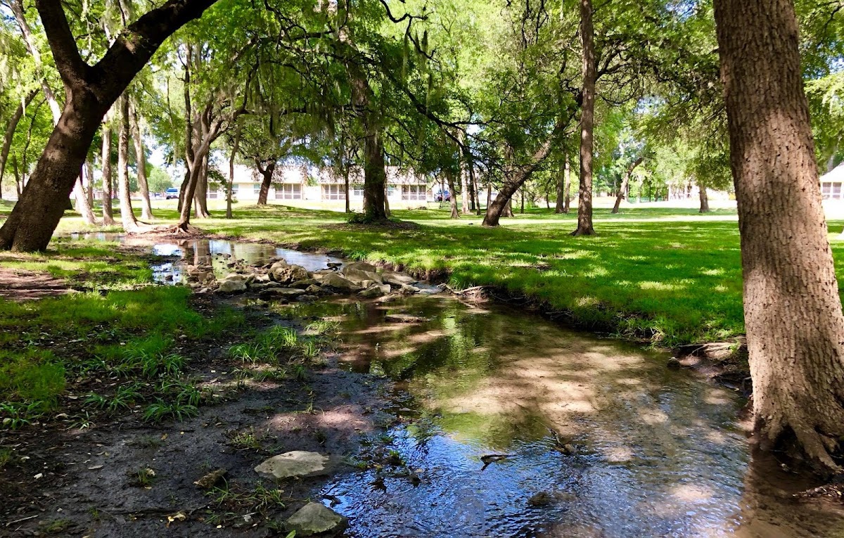 The Lodge at Leon Springs photo 1